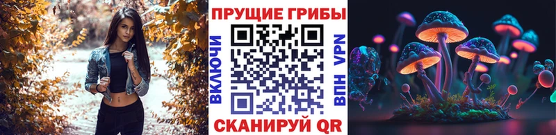 Купить закладки Боготол Псилоцибиновые грибы прущие грибы