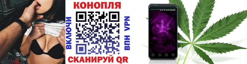 Купить Боготол Марихуана план